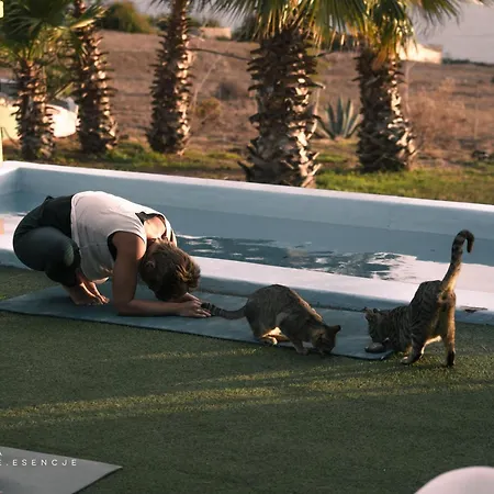 Adeje - Twinfin & Surf Yoga Camp 2* קיאו סלבאחה