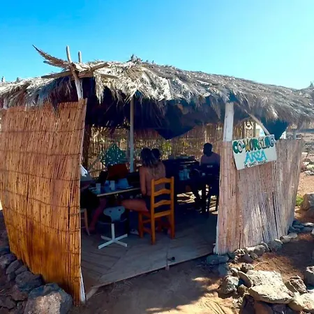 Adeje - Twinfin & Surf Yoga Camp